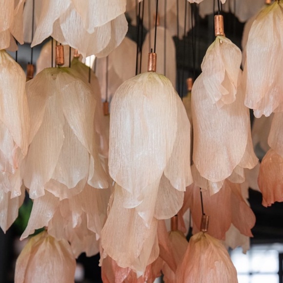 Meet your Posher, Holly - Picture 1 of 1